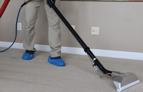 Bloomington carpet cleaning company