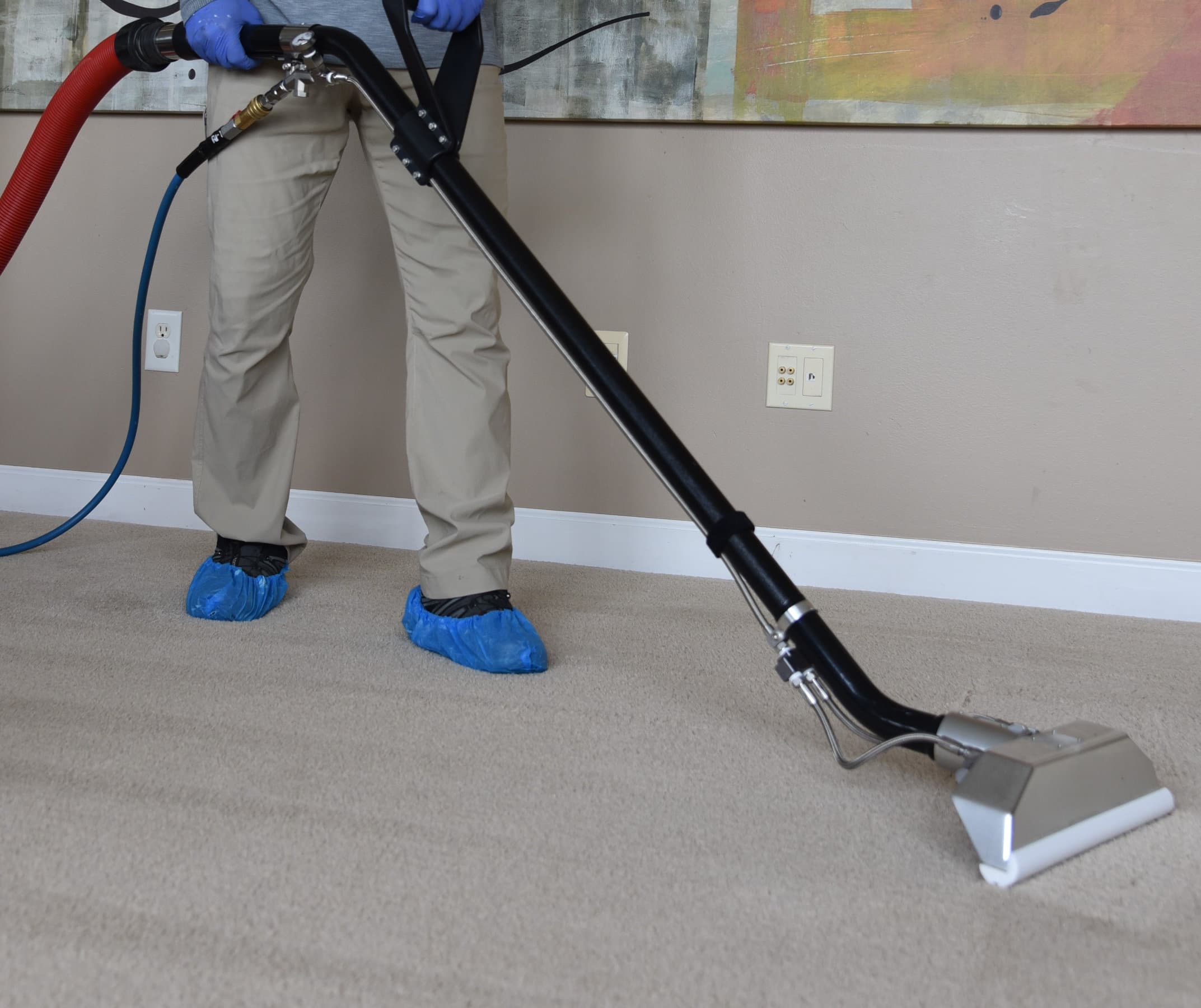 Bloomington carpet cleaning company