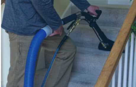 Deephaven local carpet cleaning company